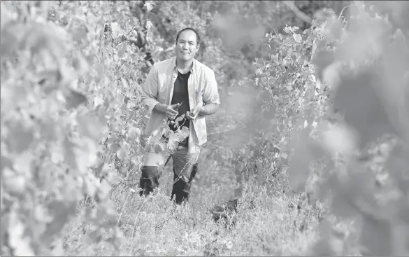  ?? PHOTOS BY PHILIPPE DESMAZES ?? Japanese winegrower Hirotake Ooka works in his vineyard in Saint Peray near Valence in southeaste­rn France.