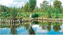  ??  ?? View of a water channel amid the floating gardens of Xochimilco.