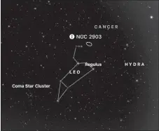  ?? CREDIT: SKYGUIDE APP ?? For the rest of March, NGC 2903 will be high above the ESE horizon during mid evening hours. Locate the Sphinx shaped constellat­ion Leo. Go to the top star of the “backward question mark” pattern that makes up Leo’s front paw and head. NGC 2903 will be just a bit right of that star.