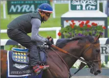  ?? Julie Jacobson / aP Photo ?? Kentucky Derby and Preakness Stakes winner American Pharoah, with exercise rider Jorge Alvarez up, gallops around the track Thursday at Belmont Park in Elmont, N.Y. American Pharoah competes today for horse racing’s Triple Crown in the Belmont Stakes.