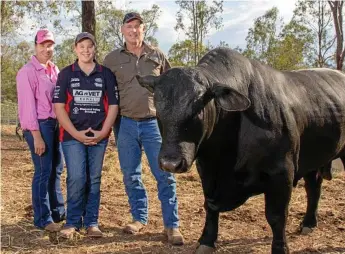  ?? Photo: Dominic Elsome ?? TOP JOB: Working hard are (from left) Jodie Renwick, Arabella Renwick and Matthew Sirett of Diamond Valley Brangus.