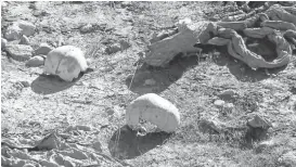  ?? PHOTO VIA THE ASSOCIATED PRESS VIDEO ?? Skulls remain at the site of a purported mass grave in the city of Sinjar, northern Iraq, after the city was retaken from Islamic State militants. Sinjar residents are frustrated that Kurdish officials say proper excavation and identifica­tion could...