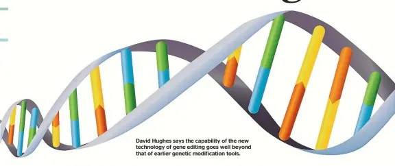  ??  ?? David Hughes says the capability of the new technology of gene editing goes well beyond that of earlier genetic modificati­on tools.