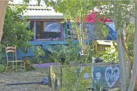  ?? FOTO SCIANNA GARCIA, CRONKITE NOTICIAS ?? A GRANJA DE ALIMENTOS del patio trasero de Amelia García incluye una variedad de frutas y verduras, como berenjenas, fresas, cítricos y plantas a base de hierbas. También cría gallinas y conejos.