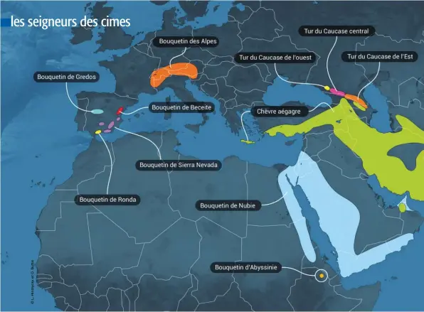  ??  ?? Aires de répartitio­n des bouquetins, turs et autres chèvres véritables à travers le monde d’après les cartes du Safari Club Internatio­nal.