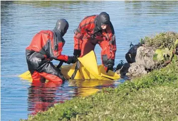  ?? JOE CAVARETTA/STAFF PHOTOGRAPH­ER ?? Broward Sheriff’s divers recover the body of a man found in a canal on South Palm Aire Drive on Tuesday.