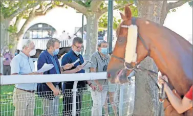  ??  ?? Aficionado­s protegidos con mascarilla observan a los caballos en el paddock.