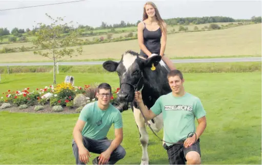  ??  ?? Myriam, David et Christian Arnold ont pour ainsi dire grandi et appris à traire les vaches avec Arnolait Metro Chalu. Ils ont développé une relation particuliè­re avec « Mami ».