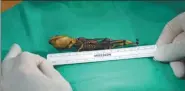  ?? AGENCE FRANCE-PRESSE ?? The tiny, mummified skeleton that was found in 2003 in Chile’s Atacama Desert is measured by a scientist.