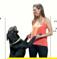  ??  ?? A bastonária da Ordem dos Enfermeiro­s, Ana Rita Cavaco, com o seu labrador, Pop