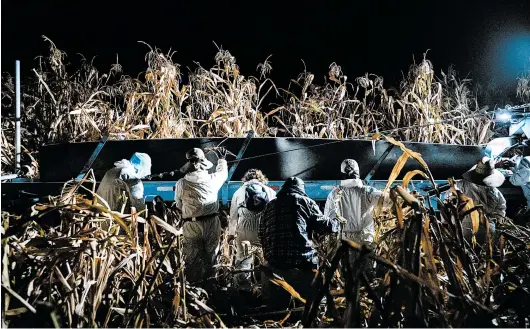  ?? BRIAN L. FRANK/THE NEW YORK TIMES PHOTOS ?? Workers pick corn before dawn Aug. 21 in California’s San Joaquin Valley. The workers have to deal with increased heat waves, smoke from wildfires in the state and COVID-19.