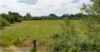  ?? Picture Steve Smyth ?? GREEN FIELDS: The area in Toutley currently being considered for 130 homes and a care home