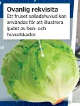  ??  ?? Ovanlig rekvisita
Ett fruset salladshuv­ud kan användas för att illustrera ljudet av ben- och huvudskado­r.