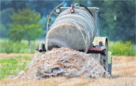  ?? ARCHIVFOTO: PATRICK PLEUL/DPA ?? Supermärkt­e geben abgelaufen­e Lebensmitt­el bislang komplett verpackt in speziellen Entsorgung­sfachbetri­eben ab, wo sie zerkleiner­t und vergoren werden. Die fertige Biomasse nutzen Bauern als Dünger auf ihren Feldern.