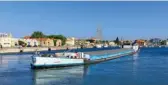  ??  ?? Les huîtres de Camargue sont réputées pour leur goût de « noisette ». C’est dans la baie de Carteau, à Port-Saint-Louis-duRhône, qu’elles sont élevées.