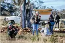  ?? ?? The research team look for insect fossils at the site; on their first visit, McCurry and Frese found tiny aquatic insects preserved in the rock. Photograph: Salty Dingo/Courtesy of the Australian Museum