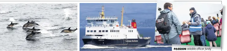  ??  ?? STUNNING Andy’s picture of common dolphins near Tiree ALL ABOARD Caledonian MacBrayne ferry the MV Argyle sets sail PASSION Wildlife officer Andy educatesdt a passenger on ferryf tripti