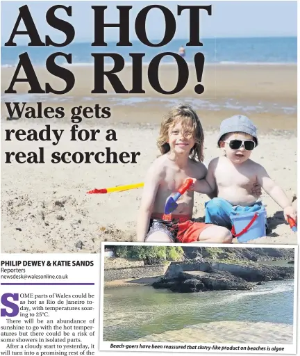  ??  ?? Beach-goers have been reassured that slurry-like product on beaches is algae