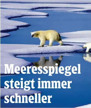  ??  ?? Verantwort­lich für den Anstieg des Meeresspie­gels sei auch das Schmelzen der Eisschilde