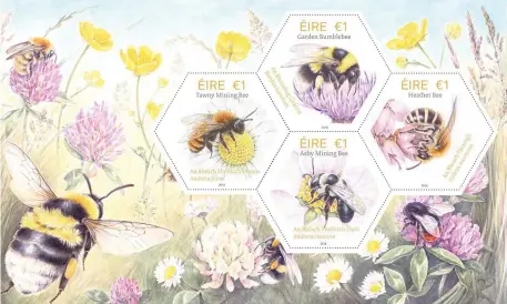  ??  ?? The new set of honeycomb-shaped stamps celebratin­g Ireland’s native bees are being released by An Post