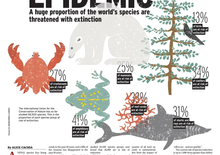  ??  ?? The Internatio­nal Union for the Conservati­on of Nature has so far studied 93,500 species. This is the proportion of each species group at risk of extinction.