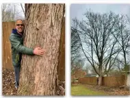  ?? SUBMITTED ?? Vikas Narula, founder of Forest Neighborho­od, a multinatio­nal “free tree” program, embraces with the silver maple tree he planted in 1993. Since 2010, the organizati­on planted over 50,000mostly urban and residentia­l trees across North America.