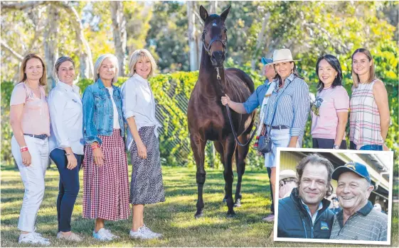  ??  ?? Global Glamour with former owners Sarah Kelly, Treen Murphy, Deborah Mitchell, Katie Page-Harvey, Susie Montague, Teresa Poon and Cecelia O’Gorman at the Magic Millions sales, and (inset) new owners Tom Magnier and Gerry Harvey. Pictures: LUKE MARSDEN, TERTIUS PICKARD