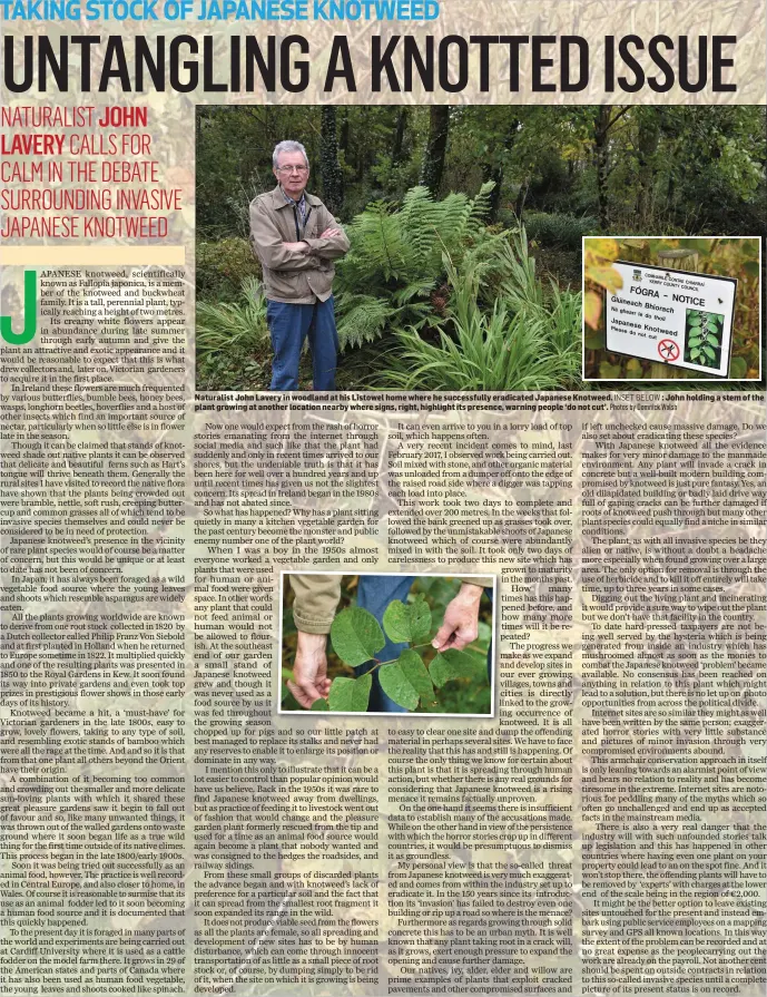  ??  ?? Naturalist John Lavery in woodland at his Listowel home where he successful­ly eradicated Japanese Knotweed. INSET BELOW : John holding a stem of the plant growing at another location nearby where signs, right, highlight its presence, warning people ‘do...