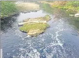  ?? HT ?? The NGT monitoring committee said release of industrial waste into Bandi, Jojari and Luni rivers poses health hazards.