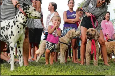  ?? PHOTOS BY DANA JENSEN/ THE DAY ?? The Parading Paws Dog Show, on the grounds of the Florence Griswold Museum, Above, is an annual event at the Old Lyme Midsummer Festival . On the cover, Rene Dion of Westerly models for Dan Truth of Mystic at the Lyme Academy of Fine Arts During last Year's Festival. Truth is an alumnus of the academy.