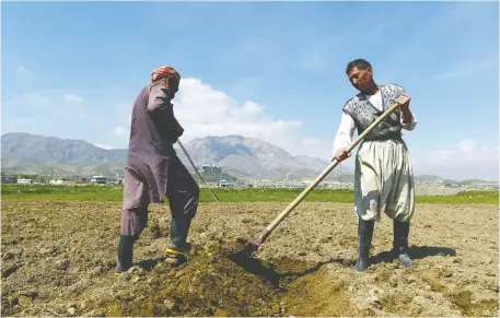  ?? WAKIL KOHSAR/AFP/GETTY IMAGES ?? Afghan labourers work on agricultur­al farmland west of Kabul. Soil erosion caused by deforestat­ion often triggers floods in parts of the country. Imams are now incorporat­ing discussion­s about environmen­tal protection into their prayer sessions.