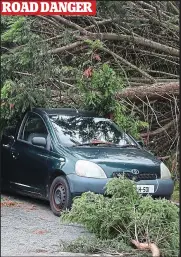  ??  ?? ROAD DANGER Struck: A car under a tree in Co. Louth