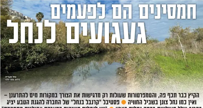  ?? ?? נחל סעדיה צילום: עומרי סלנר