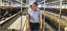  ?? PROVIDED TO CHINA DAILY ?? Cai Rui visits a greenhouse of a mushroom company in Chaoyang, Liaoning province, on June 27.