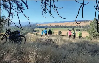  ?? Special toThe Daily Courier ?? KAREN KRYSKO/
The KVR Rail Trail east of Princeton is a panorama of golden grasslands, above. This viewpoint is at CoW Pad Park, named in honour of ranch owners Doug and Edith (nee Whiteford) Currie. The park was Edith's dream.