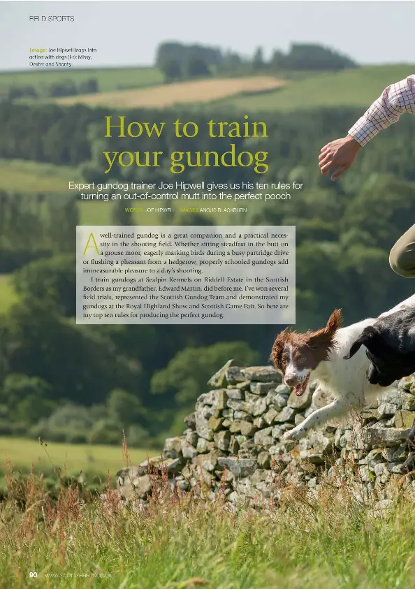 HOW TO TRAIN YOUR GUNDOG PressReader