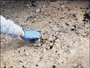  ??  ?? Jessica Smith, 39, picks up shards of glass while volunteeri­ng Saturday at the Sunrise Trailhead in the Clark County Wetlands Park. Because of the park’s location, it’s often a target of vandalism, said Elizabeth Bickmore, park program administra­tor.