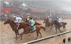  ?? MICHAEL CLEVENGER AND CHRISTOPHE­R GRANGER/COURIER JOURNAL ?? Justify, left, won last year’s Preakness on his way to the Triple Crown.