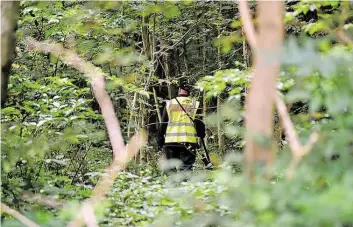  ?? BILD: MARC GESCHONKE ?? Kalte Spur? In einem Waldstück am Sprungweg, unweit des Wohnhauses von Danuta Lysien, suchte die Polizei im Sommer 2017 nach dem Leichnam. Erfolglos.