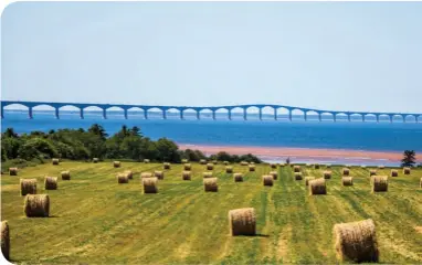  ??  ?? CONFEDERAT­ION BRIDGE, PEI • SHUTTERSTO­CK/RICHARD PENTZ