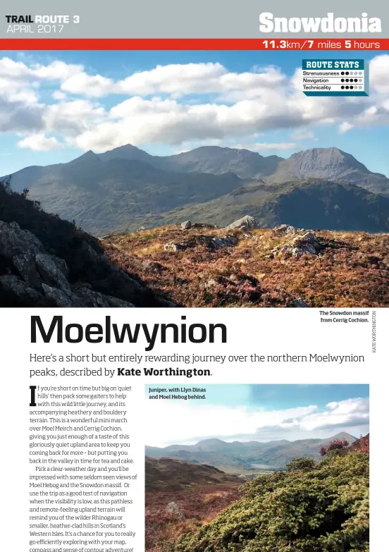  ??  ?? Juniper, with Llyn Dinas and Moel Hebog behind. The Snowdon massif from Cerrig Cochion.