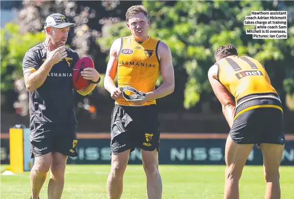  ?? Pictures: Ian Currie ?? Hawthorn assistant coach Adrian Hickmott takes charge at training while coach Sam Mitchell is ill overseas.