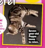  ?? ?? Sevenyear-old Peppa loves to relax.