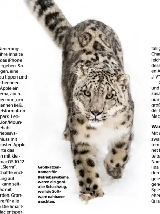  ??  ?? Großkatzen­namen für Betriebssy­steme waren ein genialer Schachzug, weil sie Software nahbarer machten.