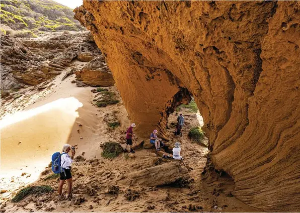  ??  ?? On the first day you follow the same paths along cliffs and through coastal fynbos that our ancestors walked more than 70 000 years ago (opposite page). On your way to Jongensfon­tein you’ll walk over a petrified dune known as Blombos Arch. This photogenic spot is also a good place to catch your breath (above).