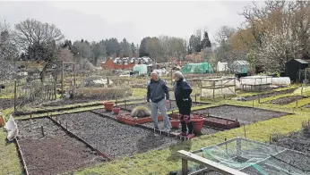  ?? ?? Will you be inspired by National Allotment Week?