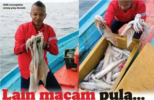  ??  ?? ATAN menunjukka­n sotong yang dicandat.