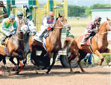  ?? IAN ALLEN/PHOTOGRAPH­ER ?? LOCKED AND LOADED (right), with Shamaree Muir astride, gets a good break at the start of the fifth race, which he went on to win on the Independen­ce Day race card at Caymanas Park on Thursday. He was an 11-1 winner.