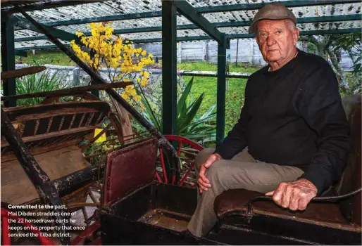  ??  ?? Committed to the past,
Mal Dibden straddles one of the 22 horsedrawn carts he keeps on his property that once serviced the Tilba district.