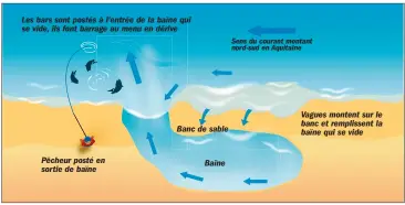  ??  ?? Voici la configurat­ion classique d’un banc de sable sur les côtes aquitaines et basques. Les jig-minnows permettent de lancer loin et de tenir le courant plus facilement.
